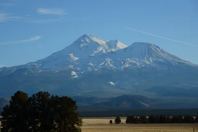 DSC_3003 (Large).JPG